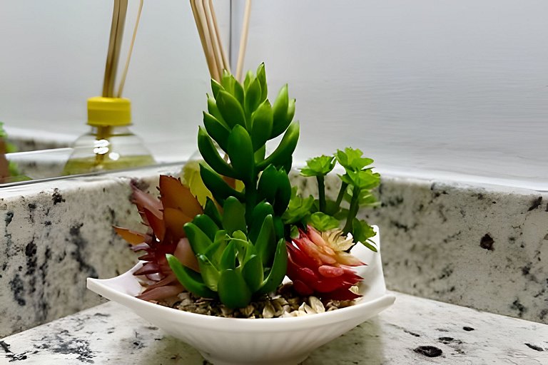 Apartamento no maior condomínio da Praia Grande em Ubatuba D